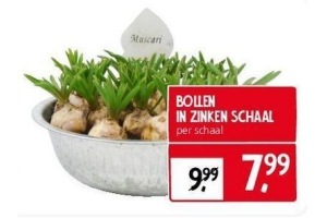 bollen in zinken schaal