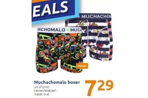 muchachomalo boxer