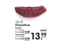 diamanthaas