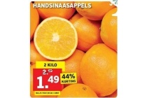 handsinaasappels