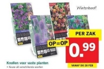 knollen voor vaste planten