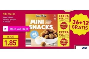 snack fan mini snacks