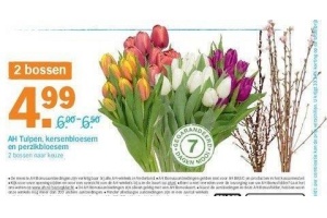 ah tulpen kersenbloesem en perzikbloemen