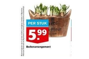 bollenarrangement