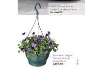 hoornviool viola cornuta wit met paars in een hangpot d 23 cm