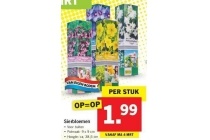 lidl sierbloemen