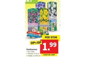 lidl sierbloemen