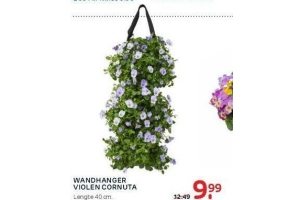 wandhanger violen cornuta