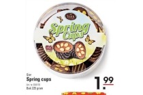 sier springcups