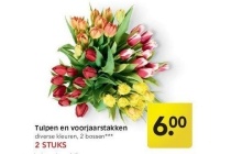 tulpen en voorjaarstakken