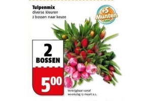 tulpenmix