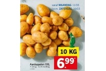 aardappelen xxl