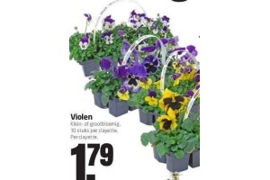 violen