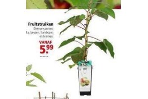 fruitstruiken