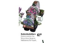 bodemdekkers