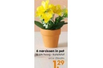 6 narcissen in pot