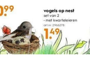 vogels op nest