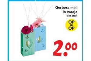 gerbera mini in vaasje