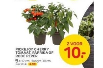 pick en joy cherry tomaat paprika of rode peper