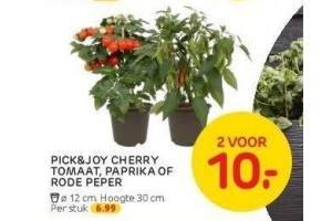 pick en joy cherry tomaat paprika of rode peper