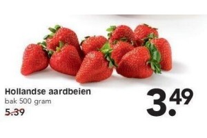 hollandsche aardbeien