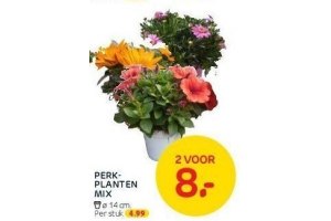 perkplanten mix