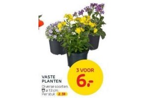 vaste planten