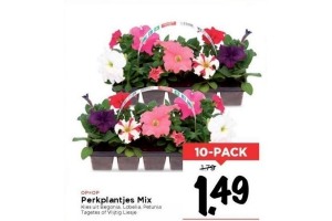 perkplantjes mix 10 pack