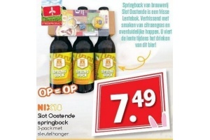 slot oostende springbock