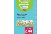 paashaasjes