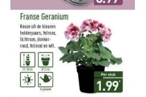 franse geranium