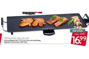 teppanyaki grillplaat