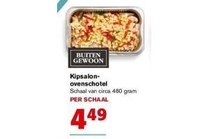 buitengewoon kipsalon