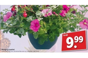 hanging basket