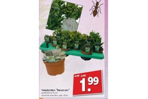 vetplanten decorum