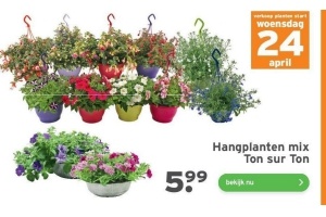 hangplanten mix ton sur ton