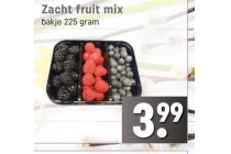 zacht fruit mix 225 gram