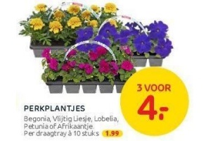 perkplantjes