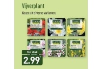 garden feelings vijverplant