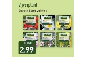 garden feelings vijverplant