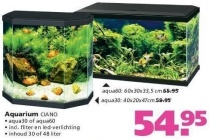 aquarium ciano