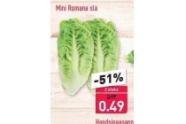 mini romana sla