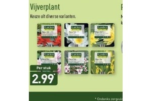 vijverplant