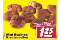 mini rozijnen krentenbollen