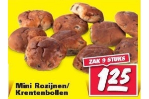 mini rozijnen krentenbollen