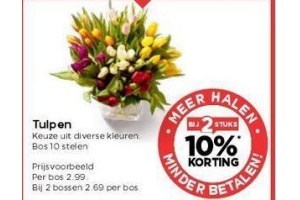 tulpen 10 stelen