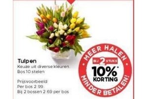 tulpen 10 stelen