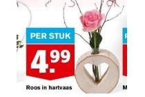 roos in hartvaas