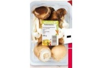 paddenstoelen
