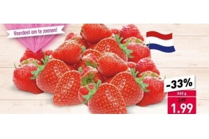 hollandse aardbeien